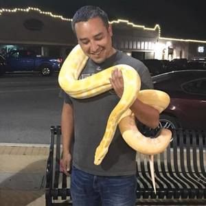 Meet your Posher, Frank